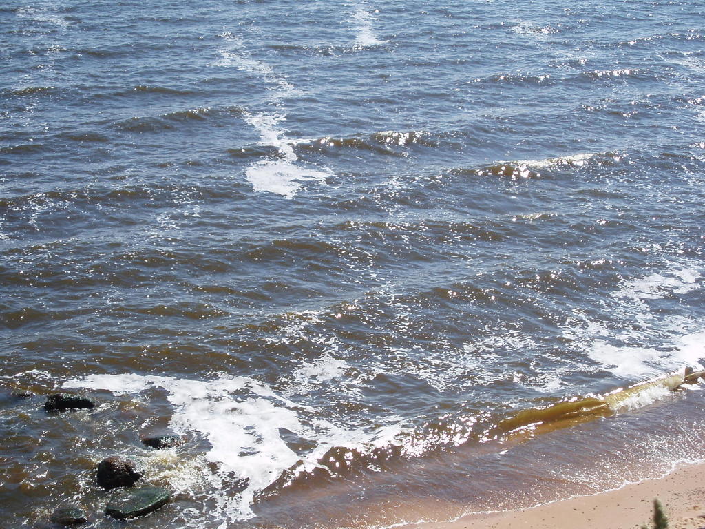 Anna Bed & Breakfast Kallaste  Buitenkant foto